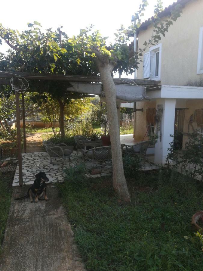 Country Rooms Near Athens - Airport Враврона Экстерьер фото