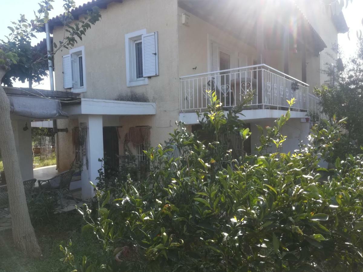 Country Rooms Near Athens - Airport Враврона Экстерьер фото